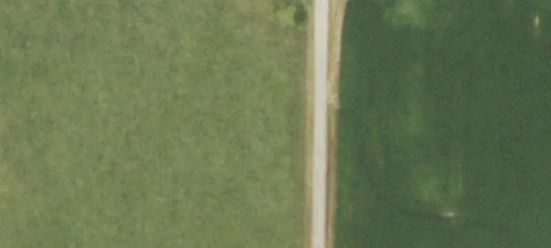 Agricultural Land With Timber