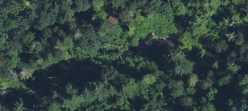 Vacant Land