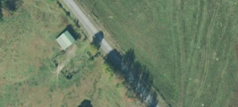 Agricultural Land with Cattle