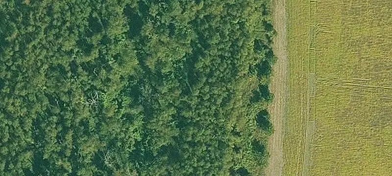 Commercial Land with Cemetery