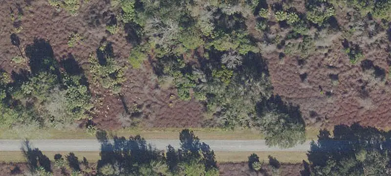 Lots/Land