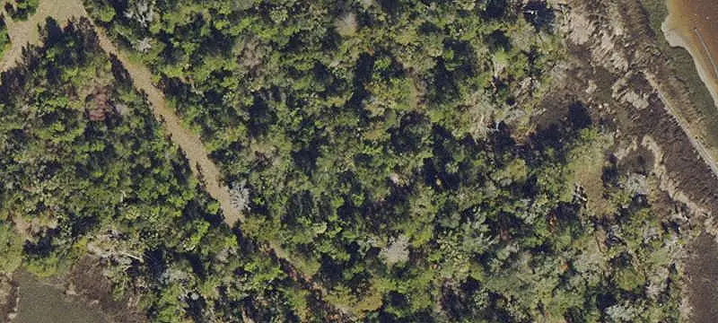 Unimproved Land