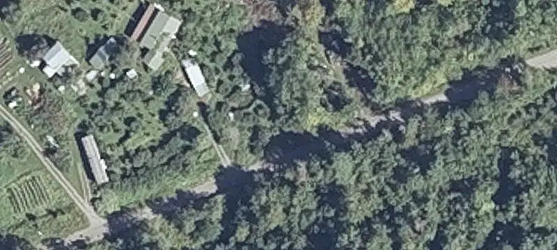 Wooded Land with Road Frontage