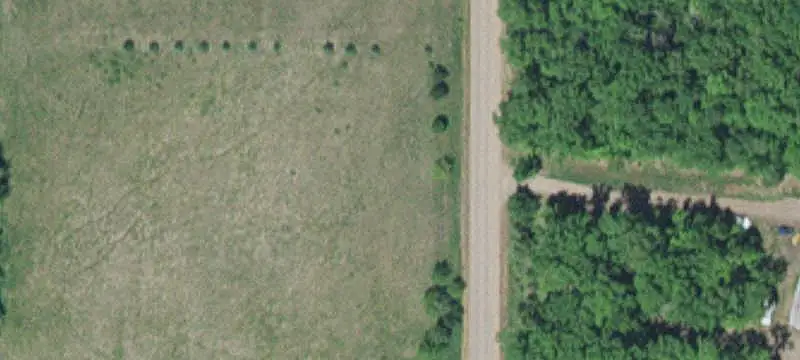 Wooded Hunting Land