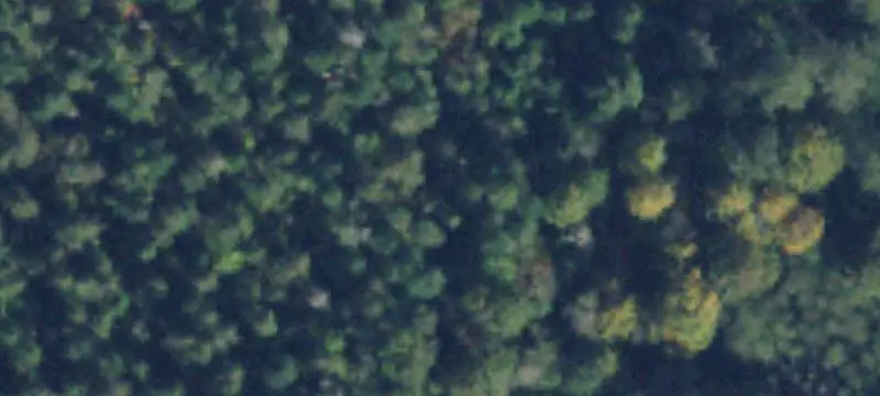Forested Highway-Access Land
