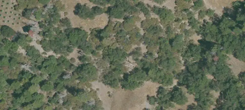Raw Land with Springs