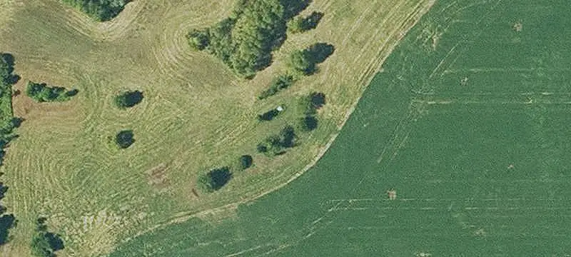 Wooded Agricultural Farm Tract