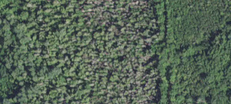 Waterfront Land with Lake Access