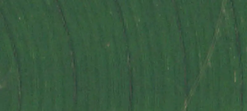 Irrigated Columbia Basin Farm
