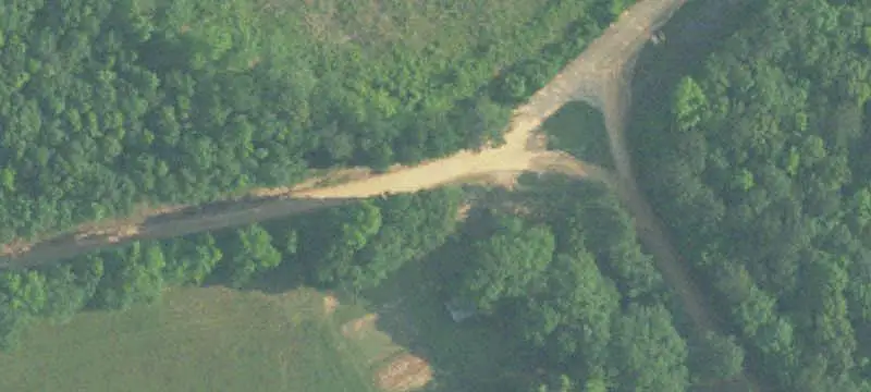Pine Plantation Hunting Land
