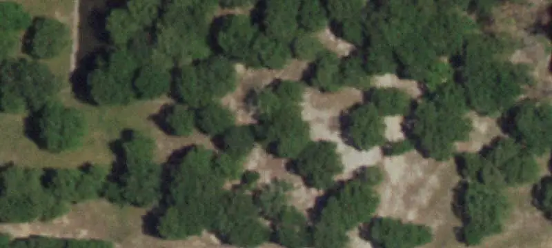 Lots & Acreage / Improved Land