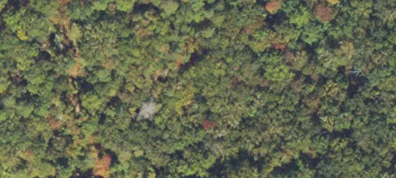Land / Other
