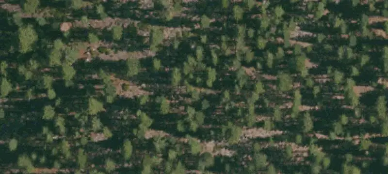 Land/Lot