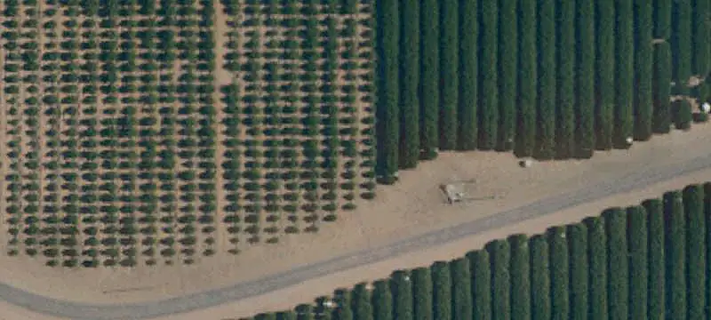 Vineyard Ranch with Water Infrastructure