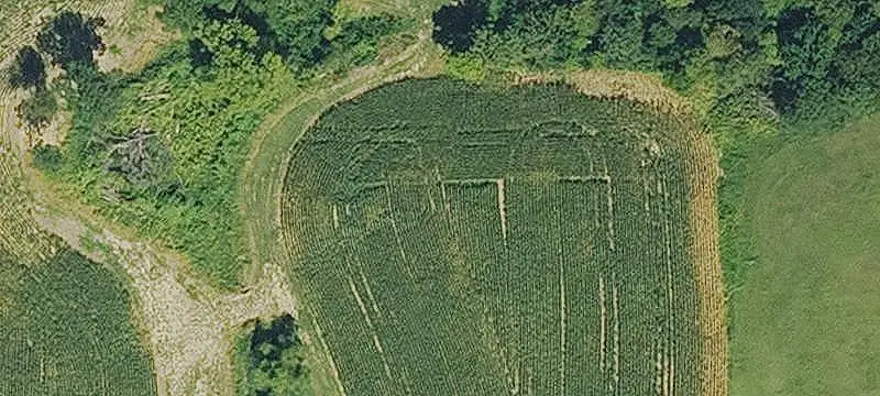 Agricultural Land with Outbuilding