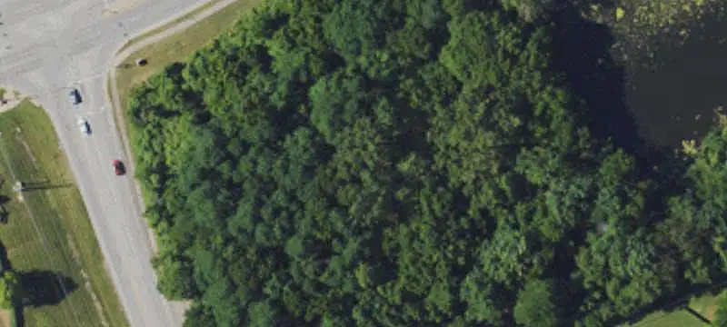 Build-to-Suit Commercial Land