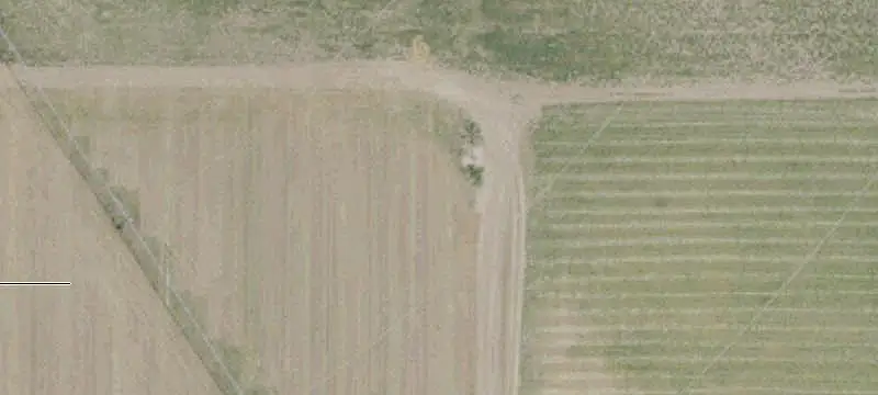 Irrigated Alfalfa Farm