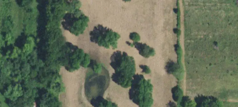 Wooded and Pasture Farmland