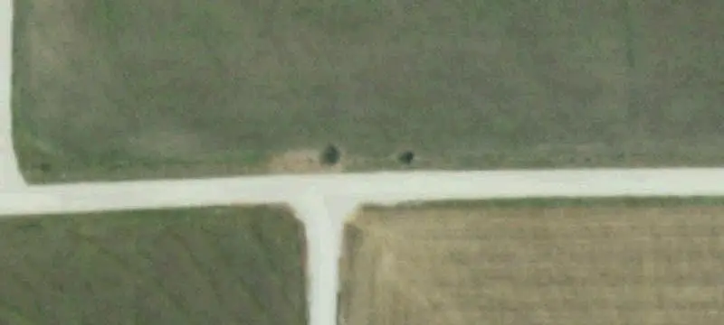 Ranch with Wind Turbine Lease
