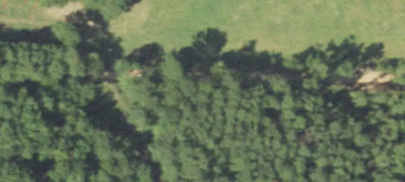 Unrestricted Hunting Land