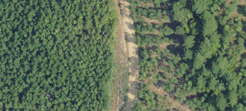 Hunting Land with On-Site Camp