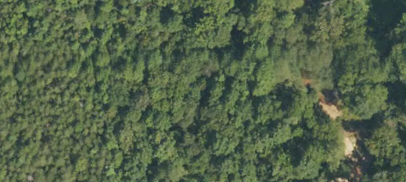 Wooded Rural Land