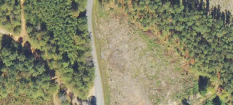 Timber and Creekfront Land