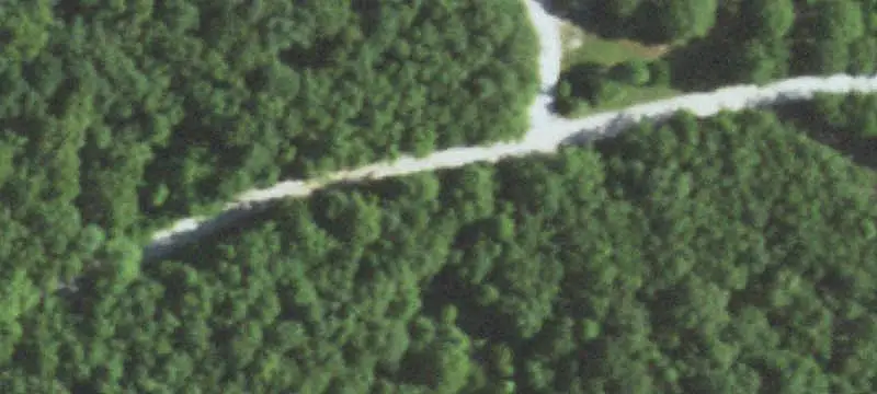 Wooded Hunting Land