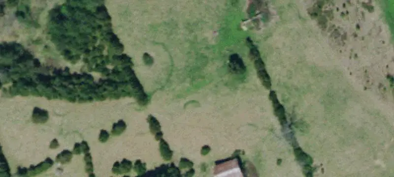 Agricultural Land with Timber