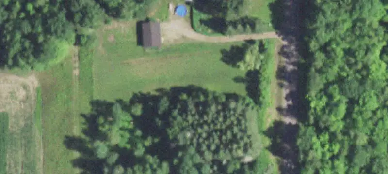 Wooded Recreation Land