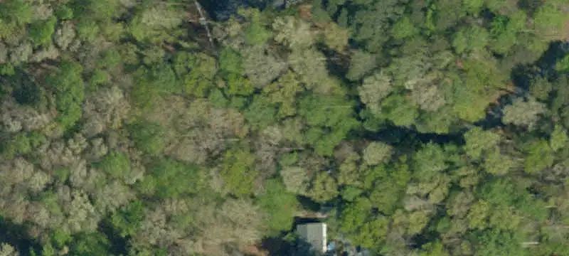 Vacant Land