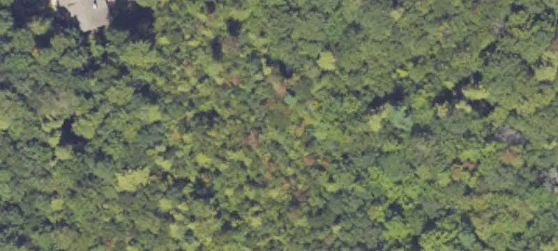 Land / Acreage