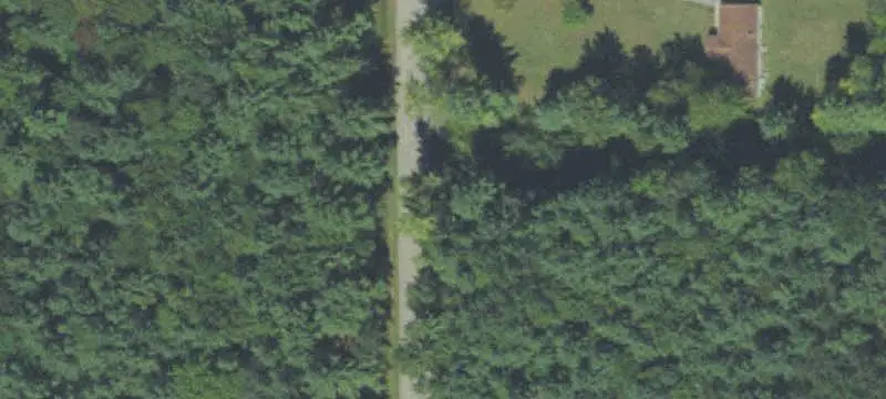 Waterfowl Hunting Land