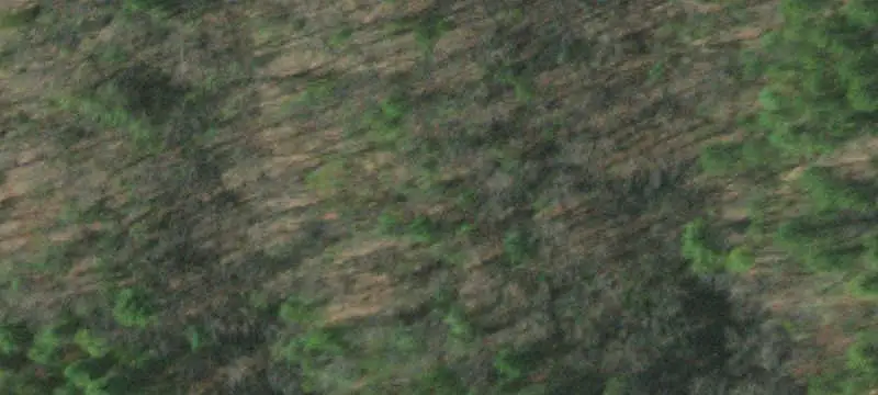 Unrestricted Farmland with Forest