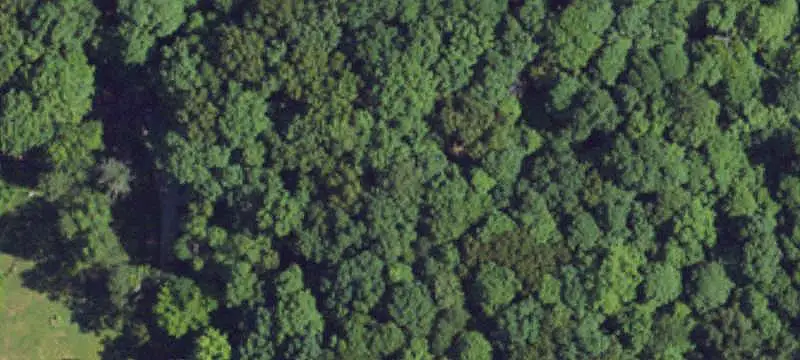 Vacant Land / Lots