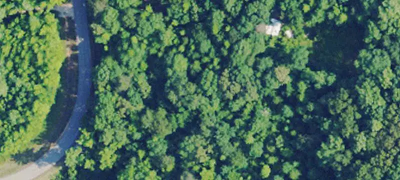 Waterfront Land with Spring-Fed Creek