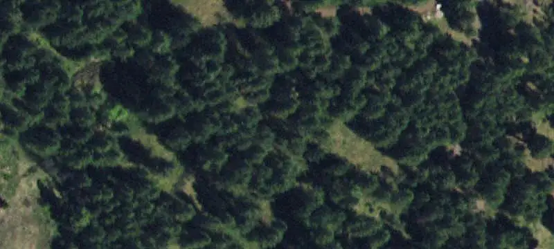 Wooded Land Parcel