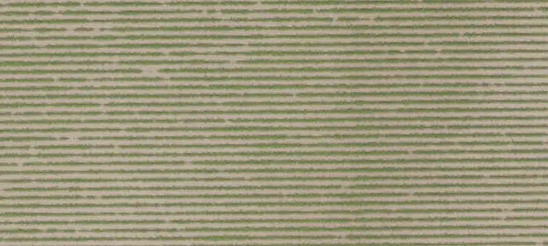 Farmland with Agricultural Well