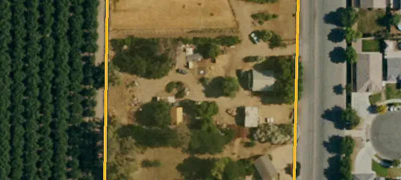 Almond Farm with Drip Irrigation