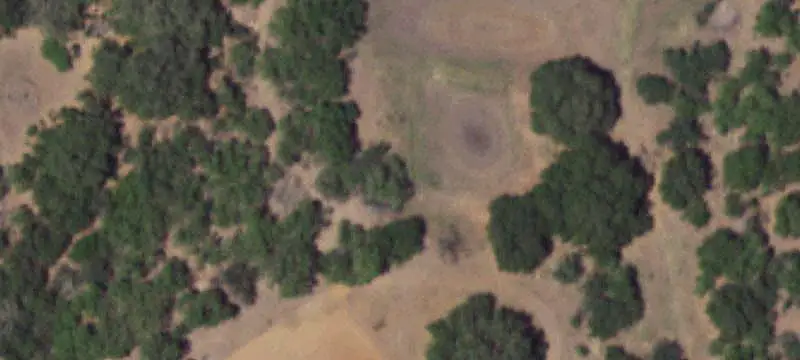 Oak-Studded Agricultural Land