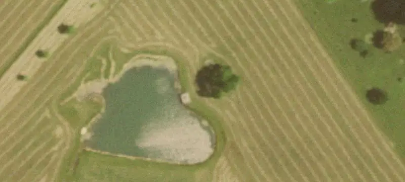 Agricultural Land