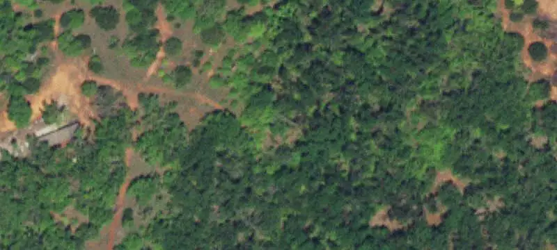 Unimproved Land