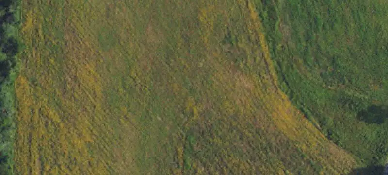 Wooded Hunting Land