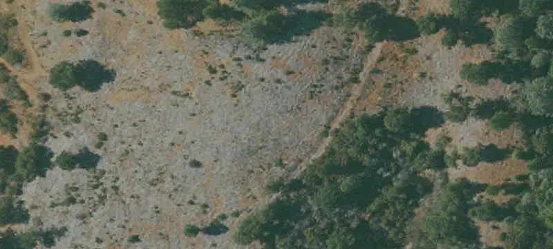 Lots/Land