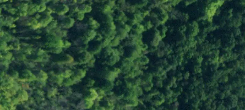 Waterfront Land with Creek Frontage