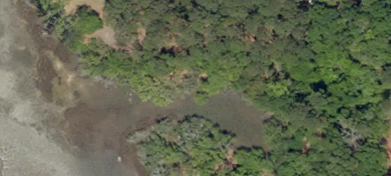 Land