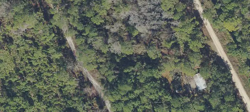 204 COOT ROAD, SATSUMA, FL 32189