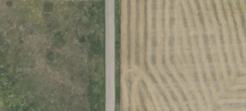 Land