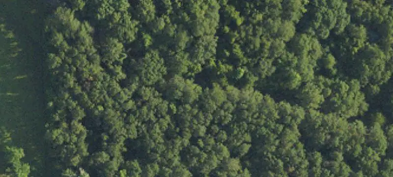Unrestricted Hunting Land