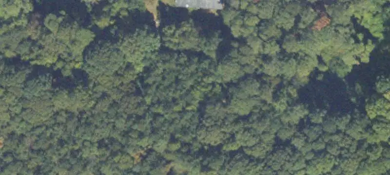 Commercial Land